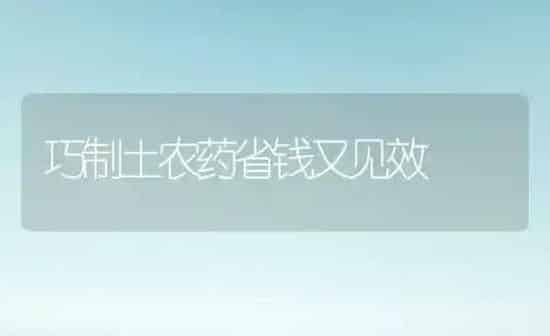 巧制土农药省钱又见效 | 种植病虫害防治