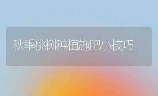 秋季桃树种植施肥小技巧 | 种植肥料施肥