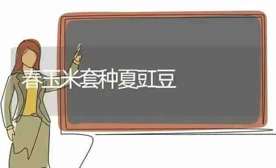春玉米套种夏豇豆 | 粮油作物种植