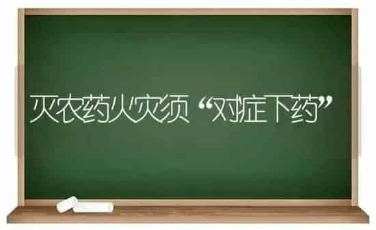 灭农药火灾须“对症下药” | 种植病虫害防治