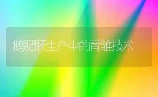 玉米出现秃尖缺粒 只需补施这些肥料 | 种植肥料施肥