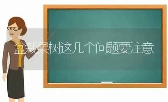 盆栽果树这几个问题要注意 | 瓜果种植
