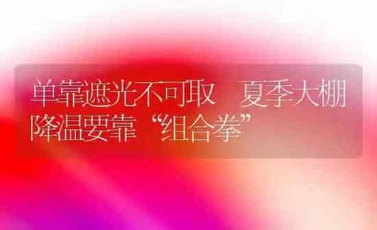 油菜品种---皖油11 | 粮油作物种植