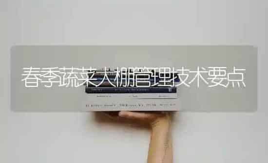 春季蔬菜大棚管理技术要点 | 蔬菜种植