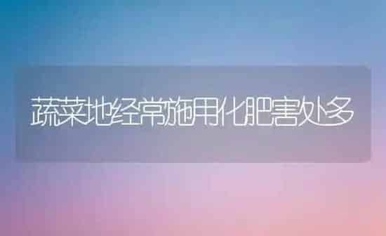 蔬菜地经常施用化肥害处多 | 蔬菜种植