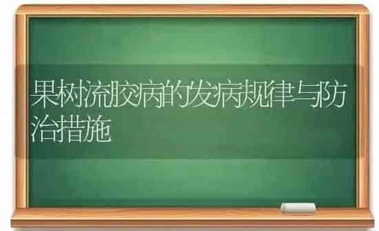 果树流胶病的发病规律与防治措施 | 瓜果种植