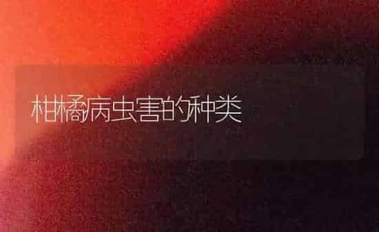 柑橘病虫害的种类 | 种植病虫害防治