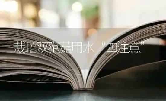 栽培双孢菇用水“四注意” | 食用菌种植