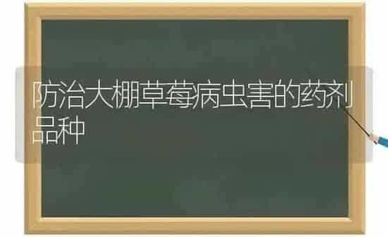 防治大棚草莓病虫害的药剂品种 | 种植病虫害防治