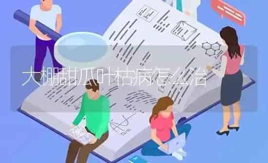 大棚甜瓜叶枯病怎么治 | 瓜果种植