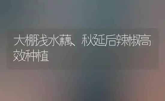 大棚浅水藕、秋延后辣椒高效种植 | 植物种植百科