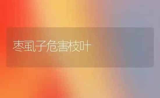 枣虱子危害枝叶 | 瓜果种植