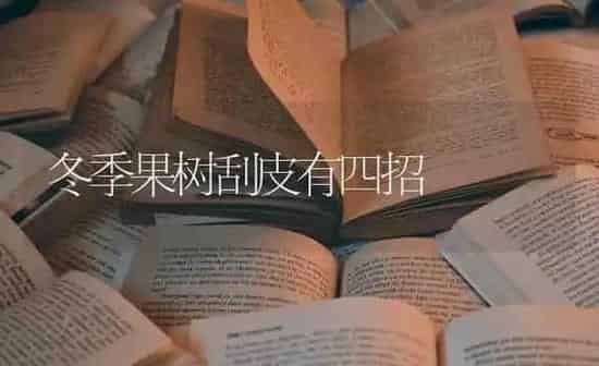 冬季果树刮皮有四招 | 瓜果种植