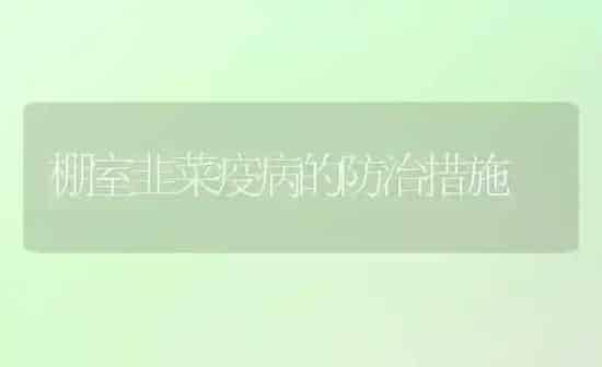 棚室韭菜疫病的防治措施 | 蔬菜种植