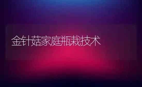 金针菇家庭瓶栽技术 | 食用菌种植