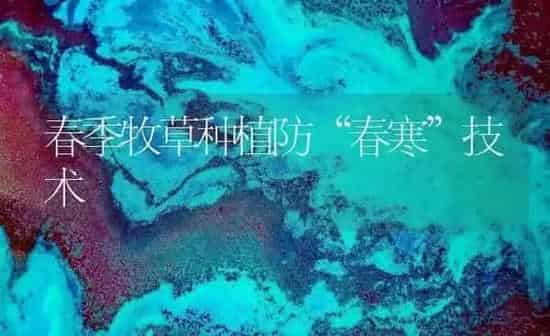 春季牧草种植防“春寒”技术 | 植物种植百科