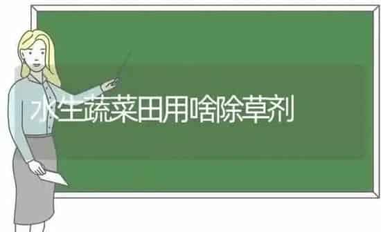 水生蔬菜田用啥除草剂 | 蔬菜种植