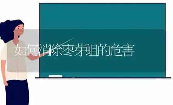 如何消除枣芽蛆的危害 | 瓜果种植