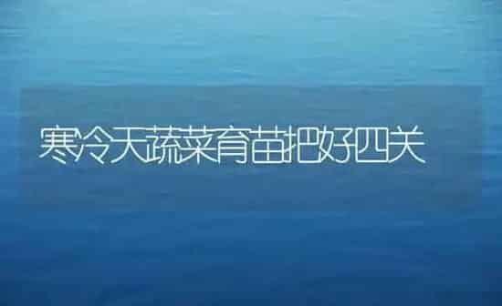 寒冷天蔬菜育苗把好四关 | 蔬菜种植