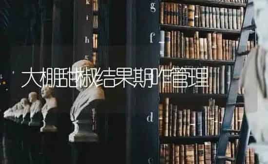 大棚甜椒结果期咋管理 | 瓜果种植