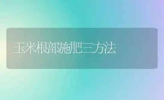 玉米根部施肥三方法 | 种植肥料施肥