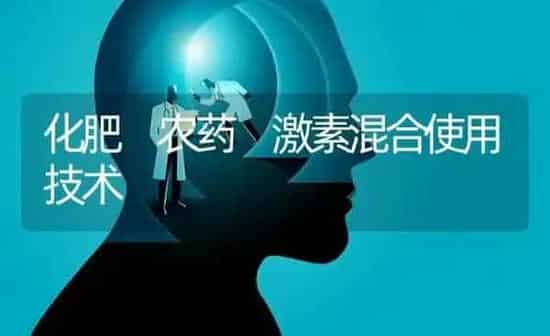 化肥 农药 激素混合使用技术 | 种植病虫害防治