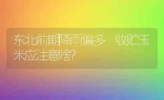 东北前期降雨偏多 收贮玉米应注意啥？ | 粮油作物种植