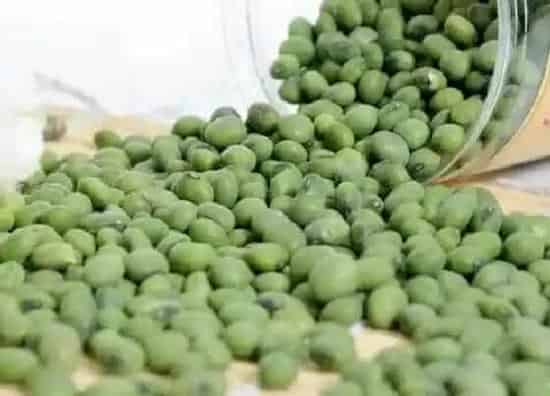 植物播种|青豆什么时候播种