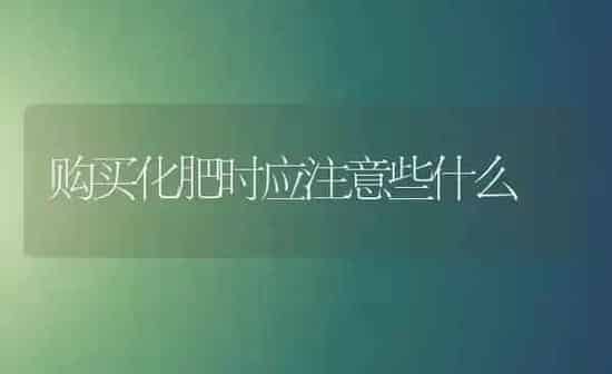 小麦新品---川农麦1号 | 粮油作物种植