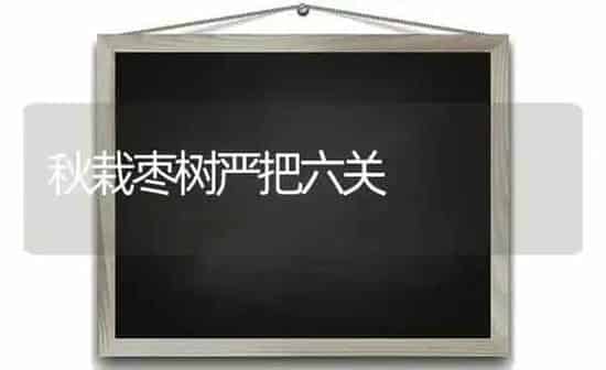 秋栽枣树严把六关 | 瓜果种植