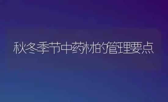秋冬季节中药材的管理要点 | 药材种植