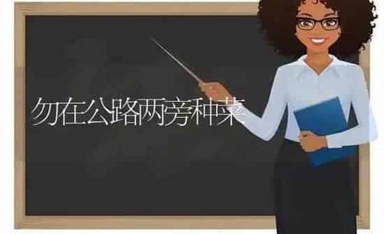 勿在公路两旁种菜 | 蔬菜种植