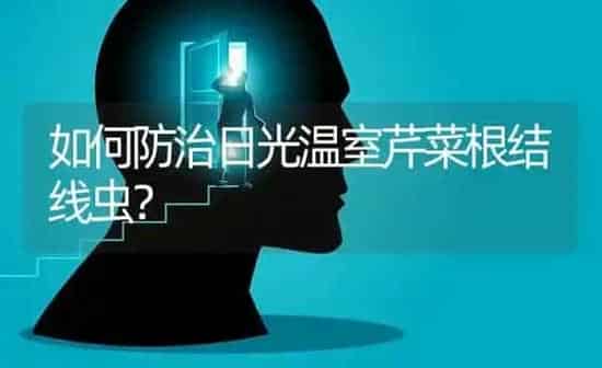 如何防治日光温室芹菜根结线虫？ | 蔬菜种植