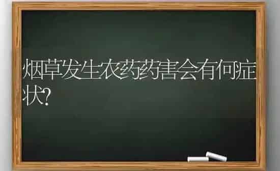 烟草发生农药药害会有何症状？ | 种植病虫害防治