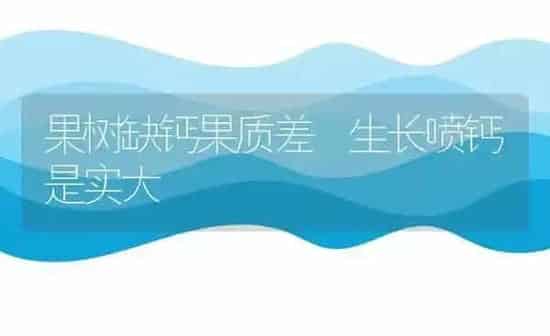 果树缺钙果质差 生长喷钙是实大 | 瓜果种植