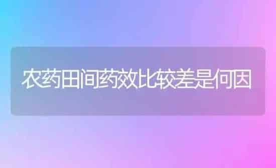 农药田间药效比较差是何因 | 种植病虫害防治
