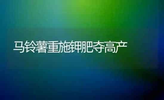 马铃薯重施钾肥夺高产 | 粮油作物种植