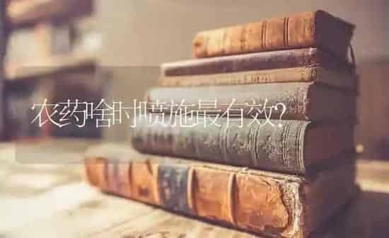 农药啥时喷施最有效? | 种植病虫害防治
