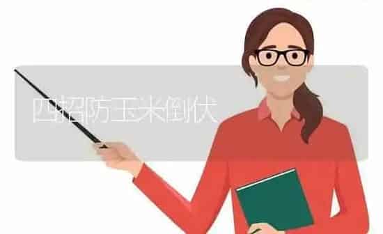 四招防玉米倒伏 | 粮油作物种植