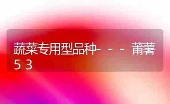 蔬菜专用型品种---莆薯53 | 蔬菜种植