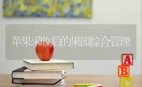 苹果采收后的果园综合管理 | 瓜果种植