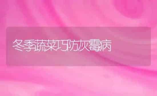 冬季蔬菜巧防灰霉病 | 蔬菜种植
