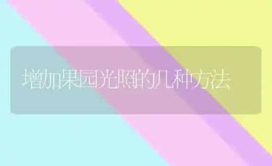 增加果园光照的几种方法 | 瓜果种植