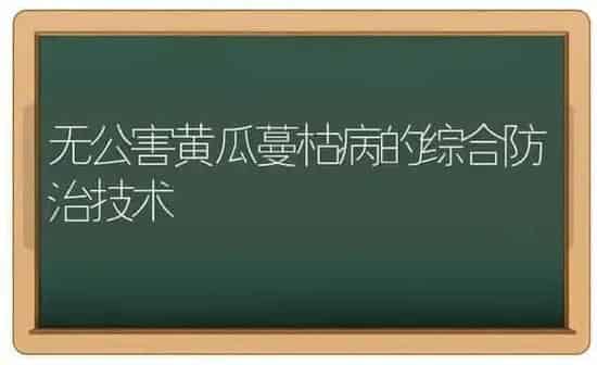 无公害黄瓜蔓枯病的综合防治技术 | 蔬菜种植
