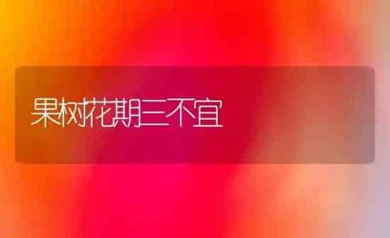 果树花期三不宜 | 瓜果种植