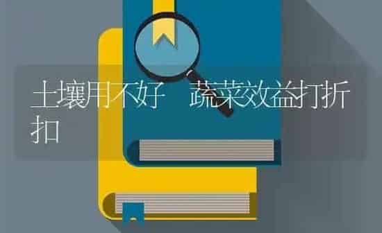 土壤用不好 蔬菜效益打折扣 | 蔬菜种植