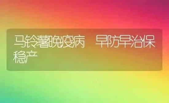 马铃薯晚疫病 早防早治保稳产 | 粮油作物种植