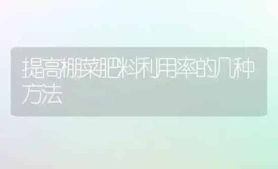 提高棚菜肥料利用率的几种方法 | 种植肥料施肥