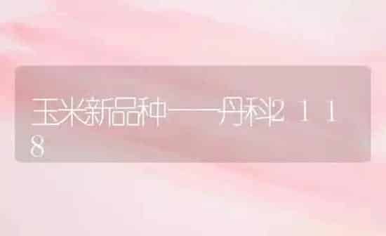 玉米新品种——丹科2118 | 粮油作物种植