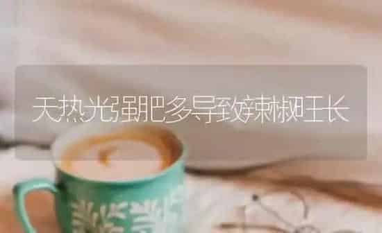 中药材不同用药部分初加工方法 | 药材种植